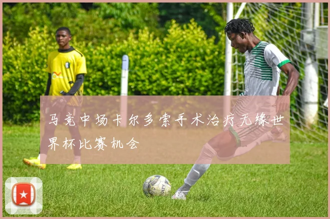 马竞中场卡尔多索手术治疗无缘世界杯比赛机会